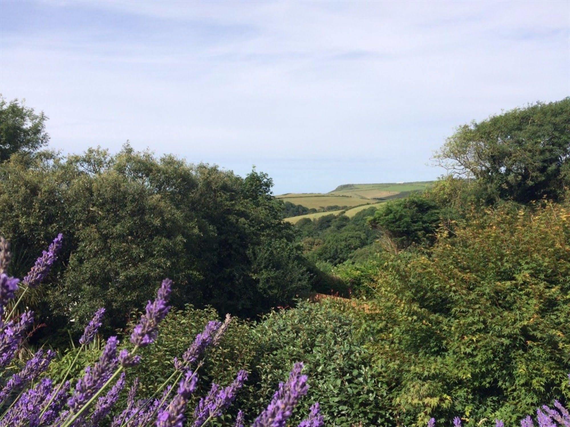 Boscastle House Bed & Breakfast Luaran gambar